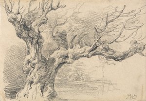 Un vecchio albero di quercia da James Ward
